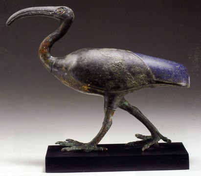 ibis