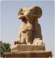 /album/galerie-photos/belier-karnak-jpg/