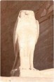 /album/galerie-photos/faucon-abou-simbel-jpg/
