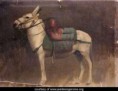/album/galerie-photos/ane-jpg1/